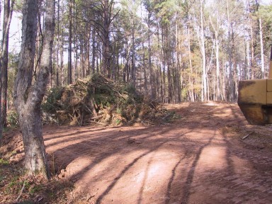 Clearing